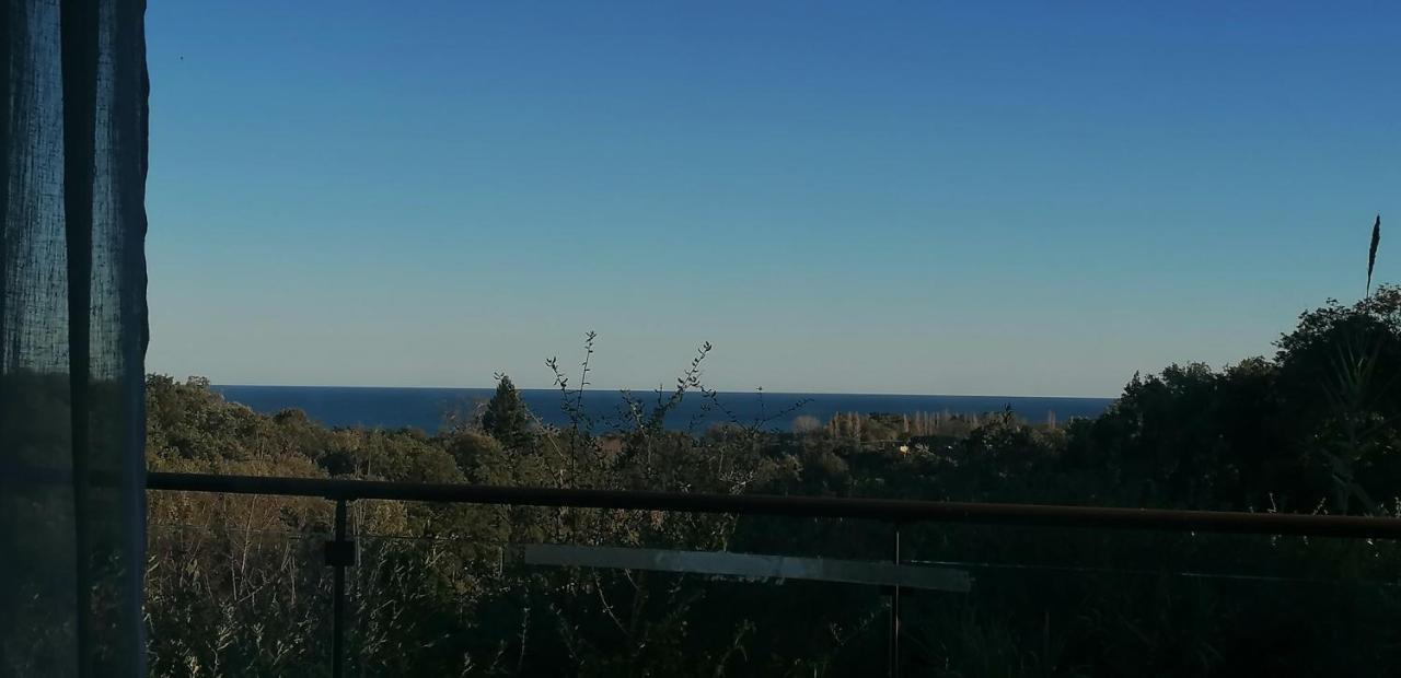 Villa Angelini Valle-di-Campoloro Екстериор снимка